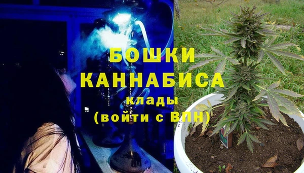 трава Верея
