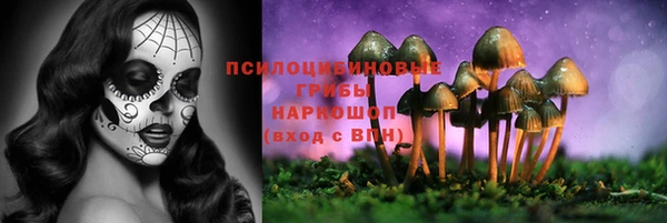 прущая мука Верхний Тагил